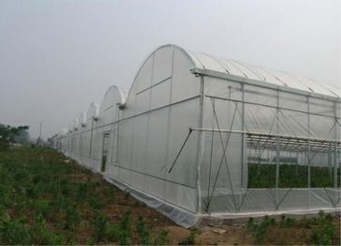 China Estufas e malha do inseto dos túneis que pesca o diâmetro de fio do Weave liso 0.3mm fornecedor