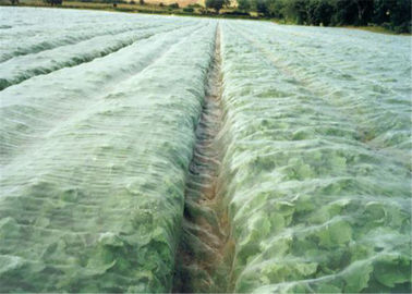 China Tela branca da mosca da estufa agrícola que pesca o anti afídio para o vegetal fornecedor