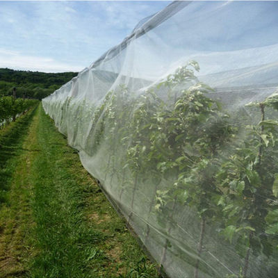 China Saraiva da rede resistente UV do HDPE anti para a agricultura e o Gardenning fornecedor