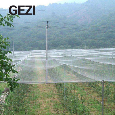 China 0.3×0.3mm 100% do inseto agrícola UV de Resistat do Virgin malhas líquidas de Greenhous para a fábrica vegetal da rede da tampa do jardim fornecedor