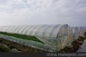Rede da proteção da saraiva da agricultura para o cultivo vegetal do túnel da estufa fornecedor