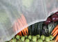 Malha plástica do inseto do furo da malha de 1,35 x 1,35 milímetros para a proteção vegetal do fruto fornecedor