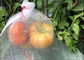 O fruto de Drawsting da poupança do fruto do PE protege o inseto dos sacos a flor do saco que de rede da malha protege fornecedor