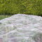 Barreira da tela do jardim de 2 blocos que pesca o × de Mesh Netting 9.8ft 6,5 ft (branco) fornecedor