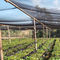do material novo do HDPE de 100% rede agrícola da máscara do verde do sol fornecedor