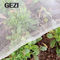 rede da prova do inseto de Mesh Cage Transparent White Color do hdpe 40 anti para proteger o vegetal fornecedor