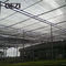 A casa nova da cor verde de Blcak Begie do material do HDPE protege os 70 vegetais líquidos para a fabricação da rede da estufa fornecedor