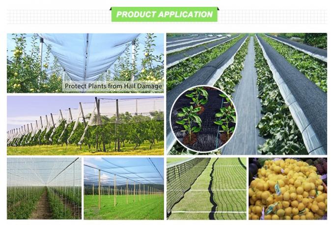 Rede da proteção do rolo/saraiva da rede da saraiva do elevado desempenho anti para frutas e legumes