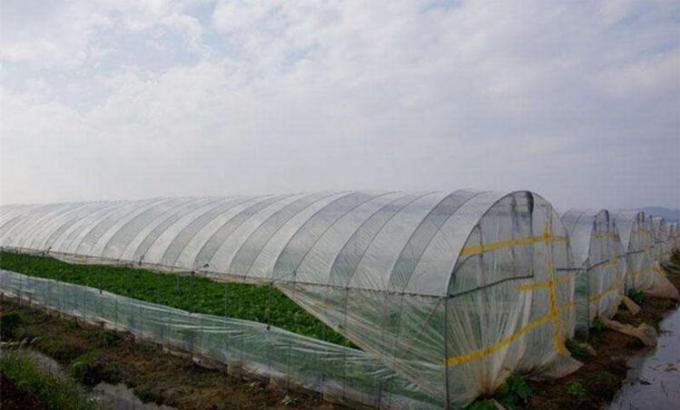 Rede da proteção da saraiva da agricultura para o cultivo vegetal do túnel da estufa