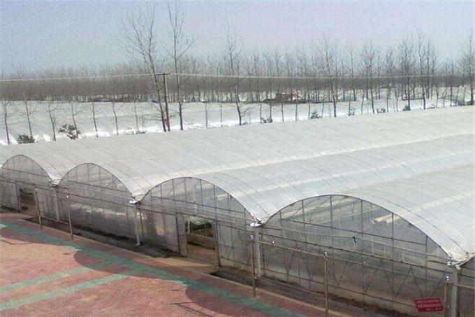 Rede da proteção da saraiva da agricultura para o cultivo vegetal do túnel da estufa