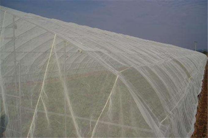 Rede 100% da malha do inseto do HDPE 4x50m para o berçário da estufa/agrícola