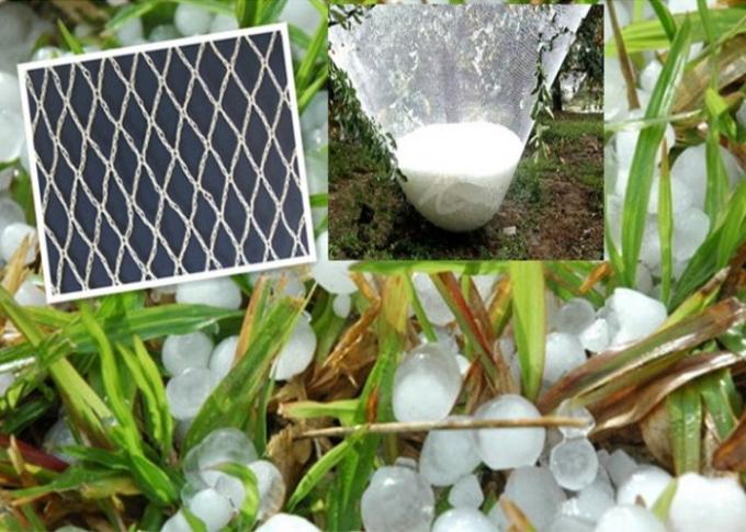 Rede plástica da malha do inseto do HDPE durável para a proteção danificada colheita