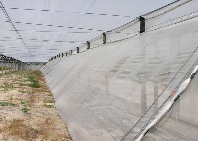 Rede 100% da malha do inseto do HDPE 4x50m para o berçário da estufa/agrícola
