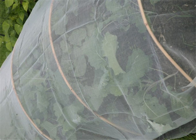 Estufa que pesca a anti rede do inseto da mosca para os jardins vegetais