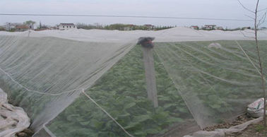 China anti malha do inseto do pássaro 55gsm que pesca a eliminação de resíduos 100% do HDPE 100 medidores fornecedor