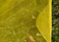 Anti tela amarela do inseto, tamanho personalizado do inseto da estufa rede agrícola fornecedor