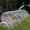 Rede da barreira do pássaro do inseto com a tampa da planta da rede do inseto do jardim do cordão usada para proteger frutos e flores da planta fornecedor