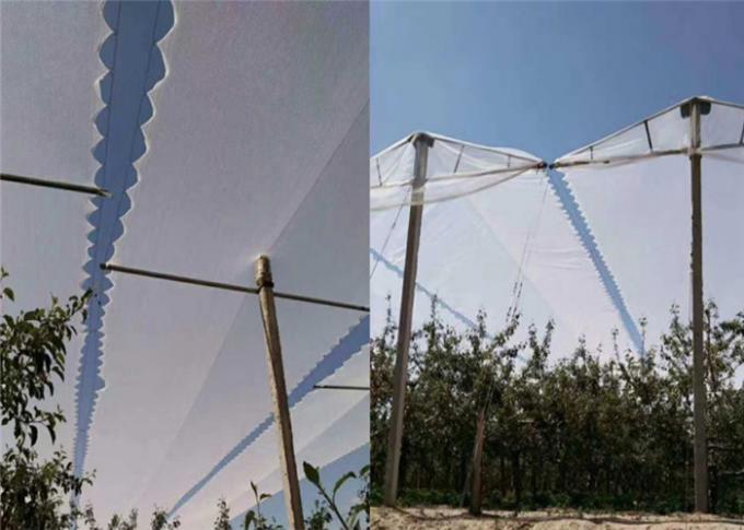 Proteção agrícola com a rede líquida UV da malha do inseto do pomar e anti saraiva para árvores de maçãs