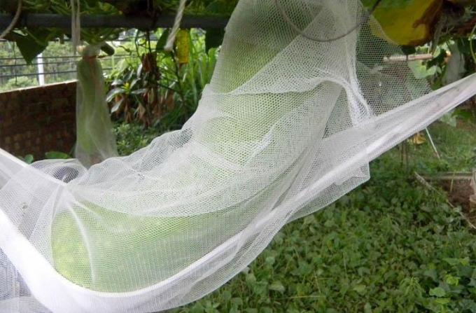 anti malha do inseto do pássaro 55gsm que pesca a eliminação de resíduos 100% do HDPE 100 medidores